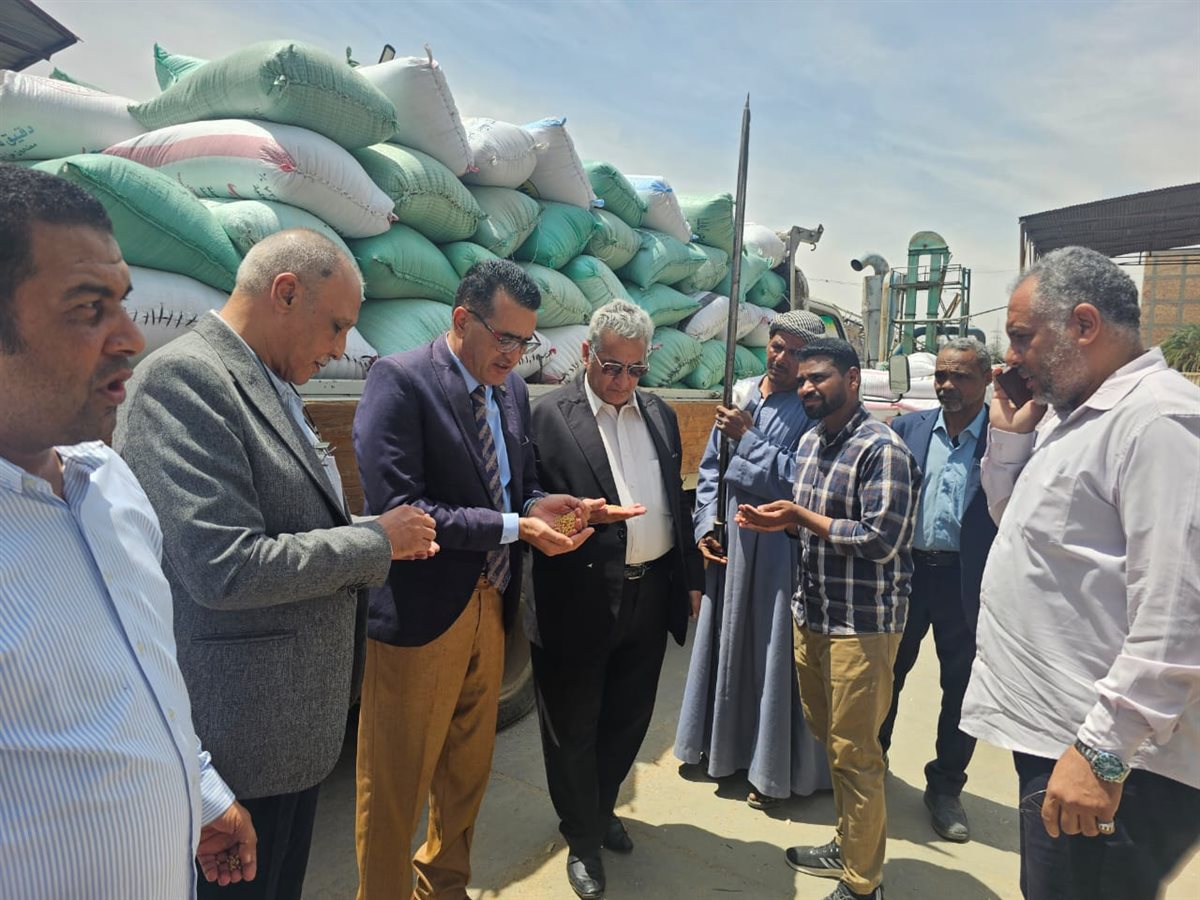 بدء موسم توريد القمح&nbsp;