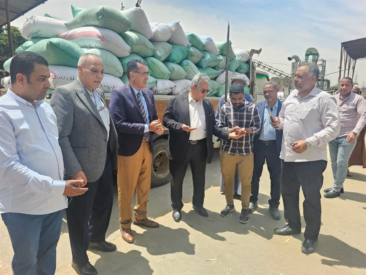 بدء موسم توريد القمح&nbsp;