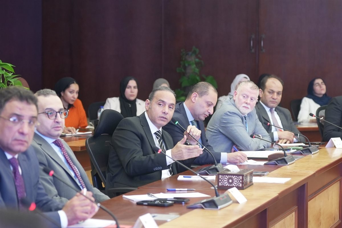 &nbsp;الرقابة المالية تبحث مع شركات تمويل المشروعات المتوسطة والصغيرة ومتناهية الصغر تطوير آليات التمويل&nbsp;