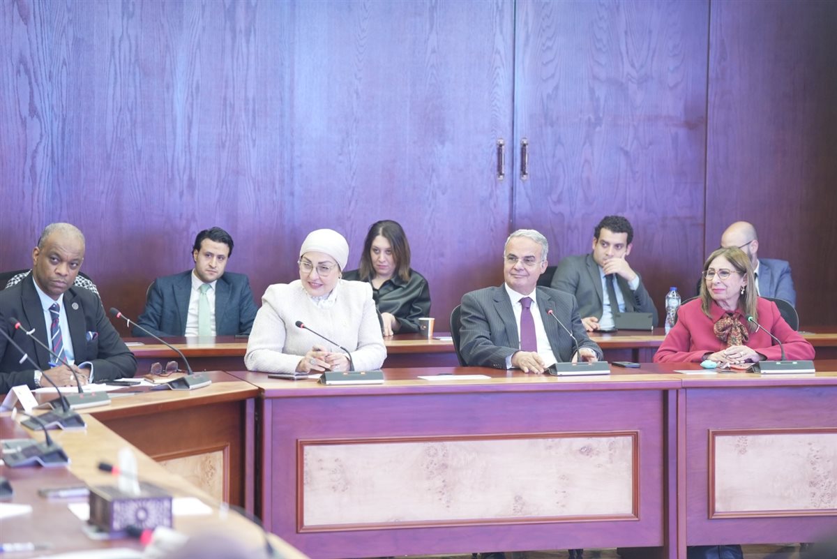 &nbsp;الرقابة المالية تبحث مع شركات تمويل المشروعات المتوسطة والصغيرة ومتناهية الصغر تطوير آليات التمويل&nbsp;