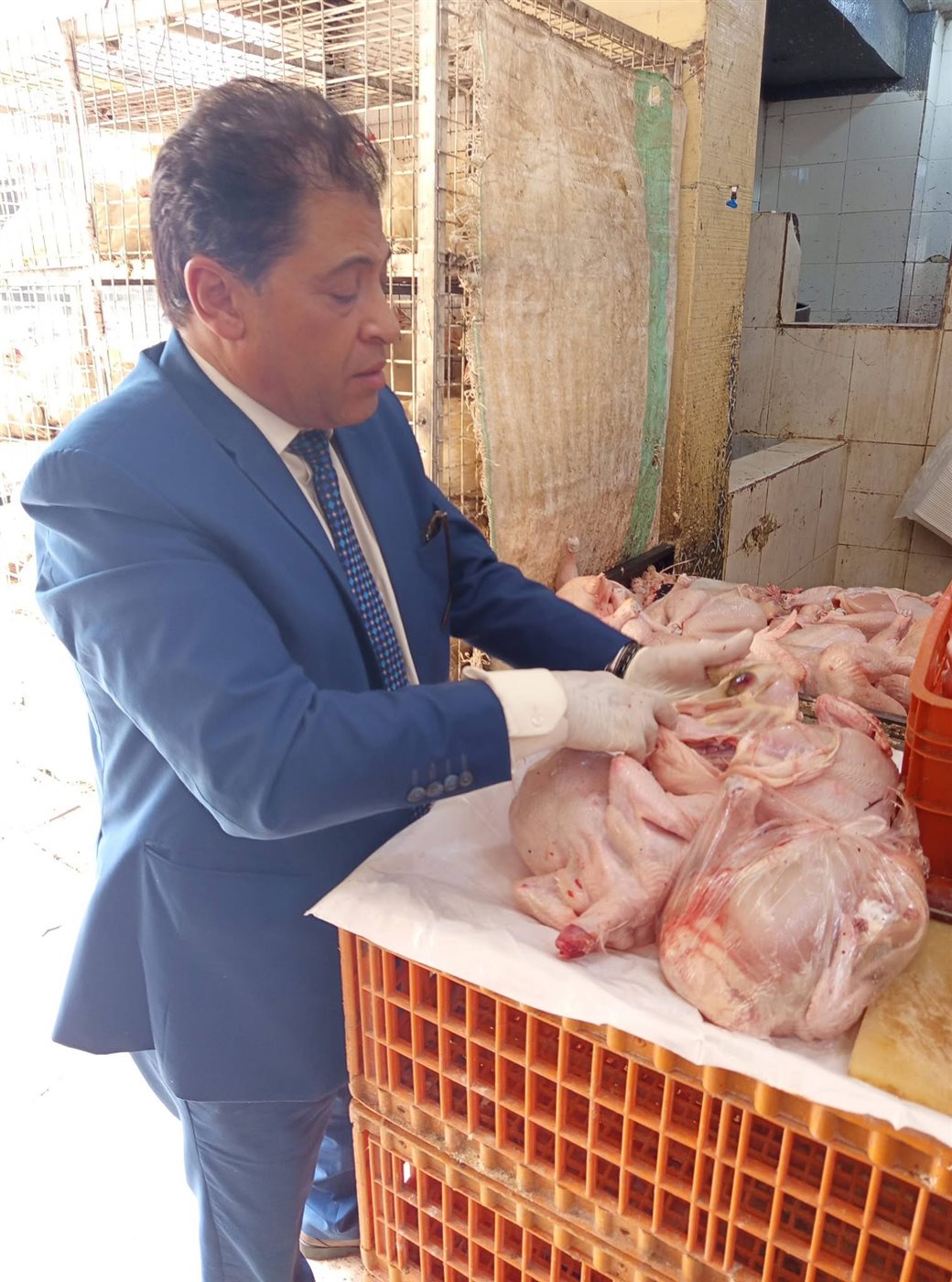 ضبط لحوم فاسدة بالأقصر&nbsp;