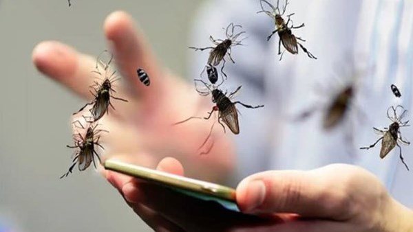 كيفية التخلص من الذباب بدون مبيدات