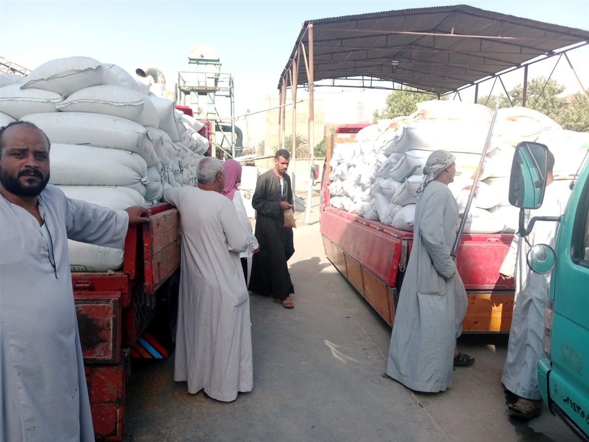 تموين الأقصر تتسلم 152.2 طن من القمح&nbsp;