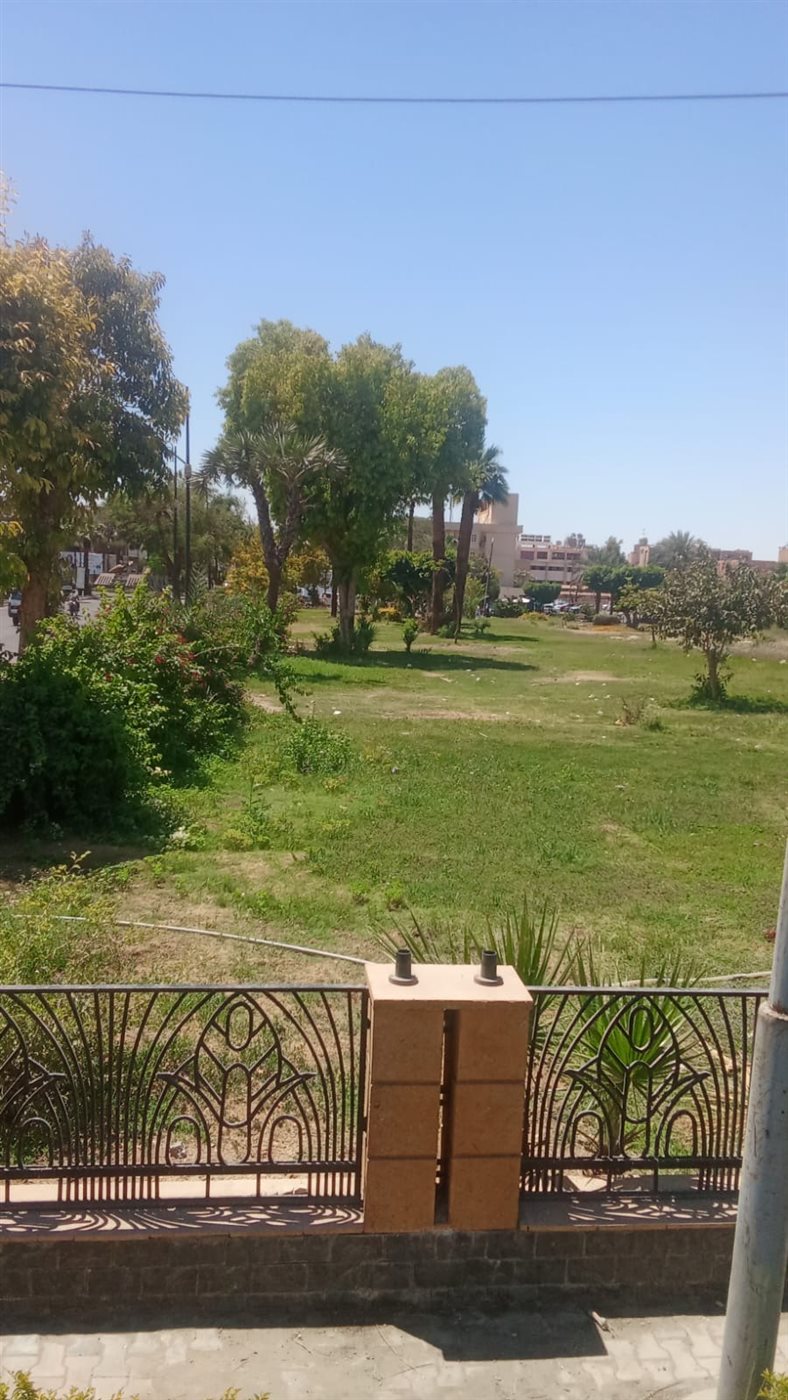 حملات تشجير ونظافة بالأقصر&nbsp;