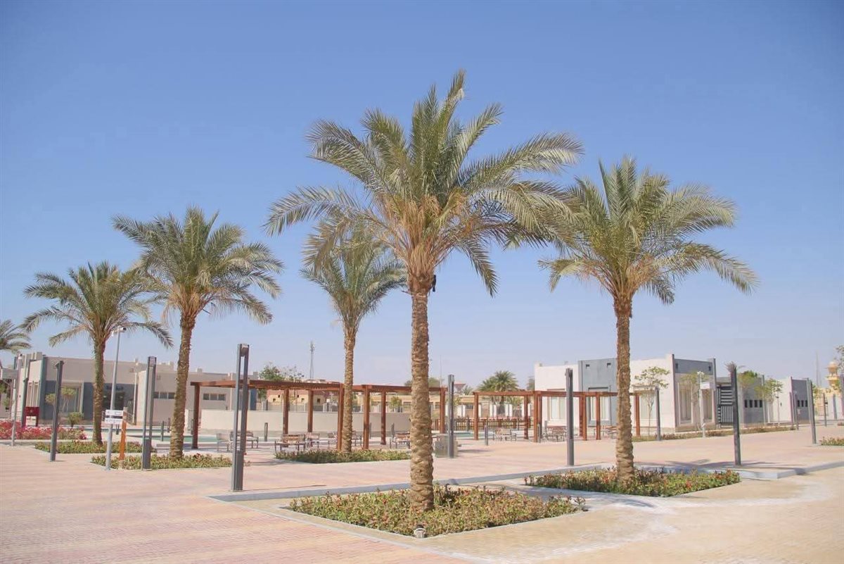 افتتاح المعسكر الشبابي برأس سدر 