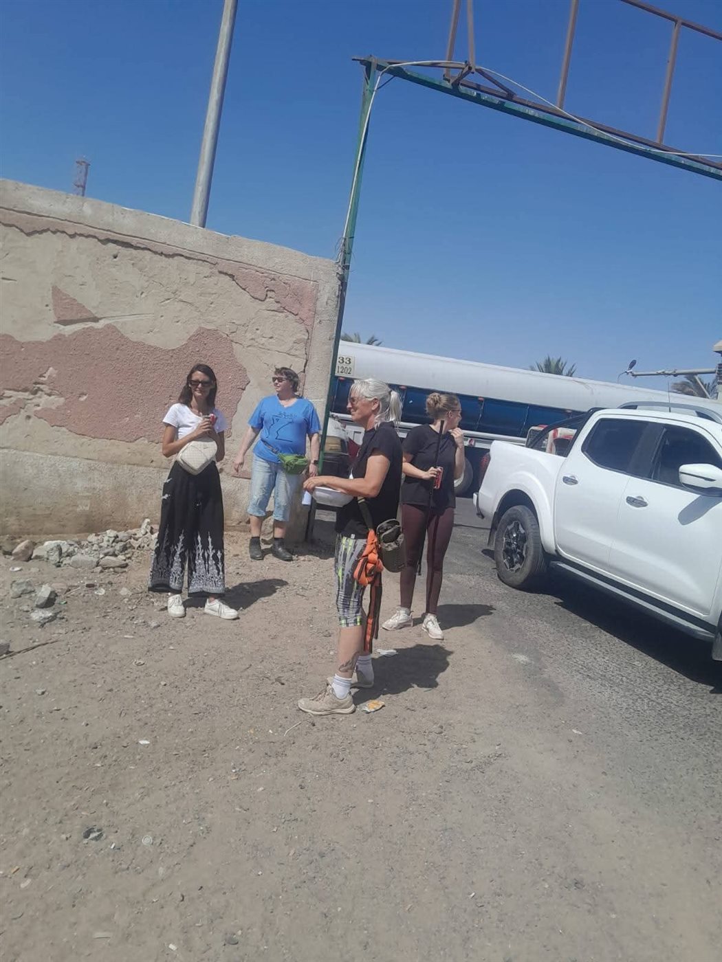 حملة لإجراء عمليات تعقيم للكلاب الضالة بالغردقة 
