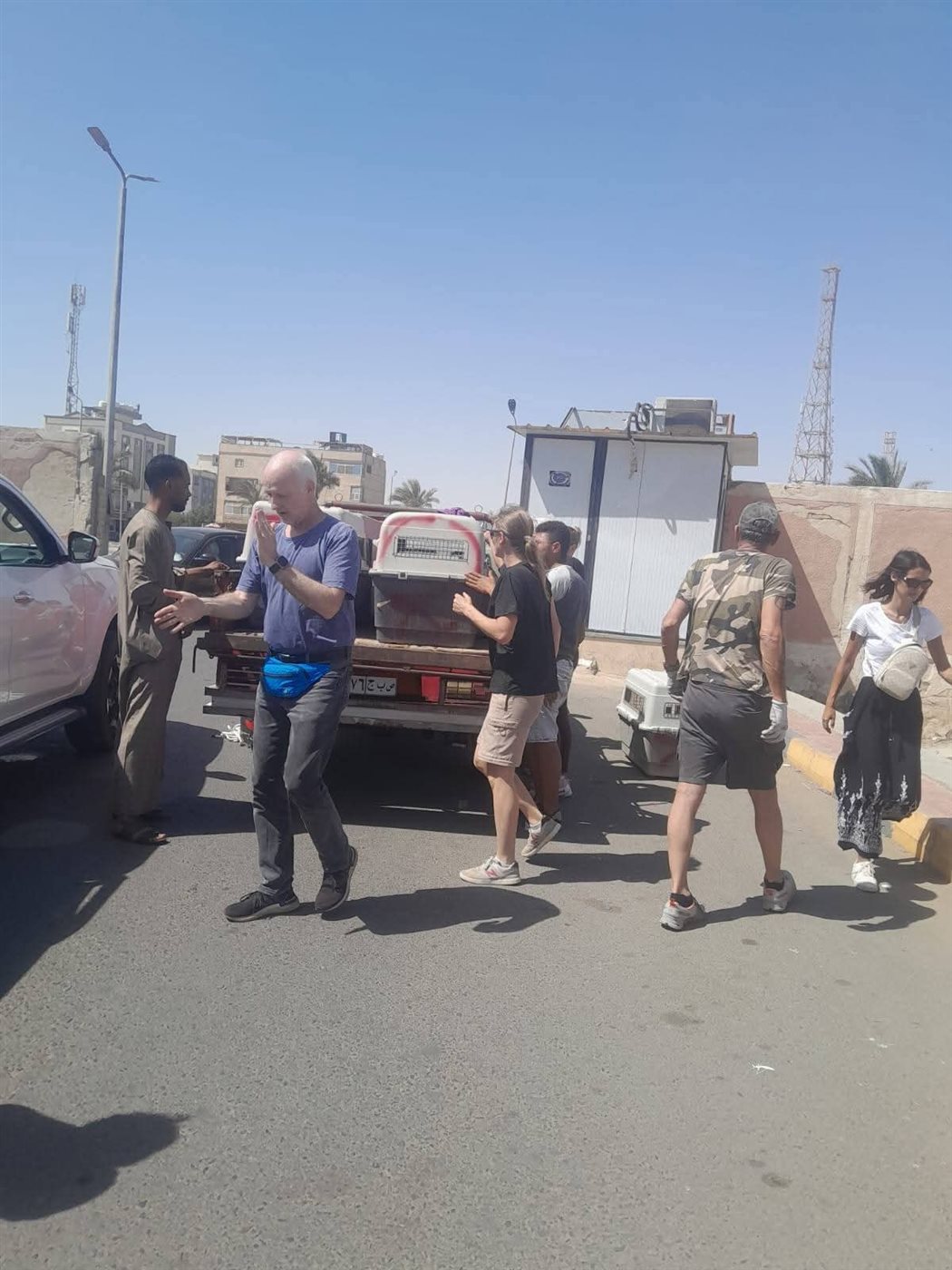 حملة لإجراء عمليات تعقيم للكلاب الضالة بالغردقة 