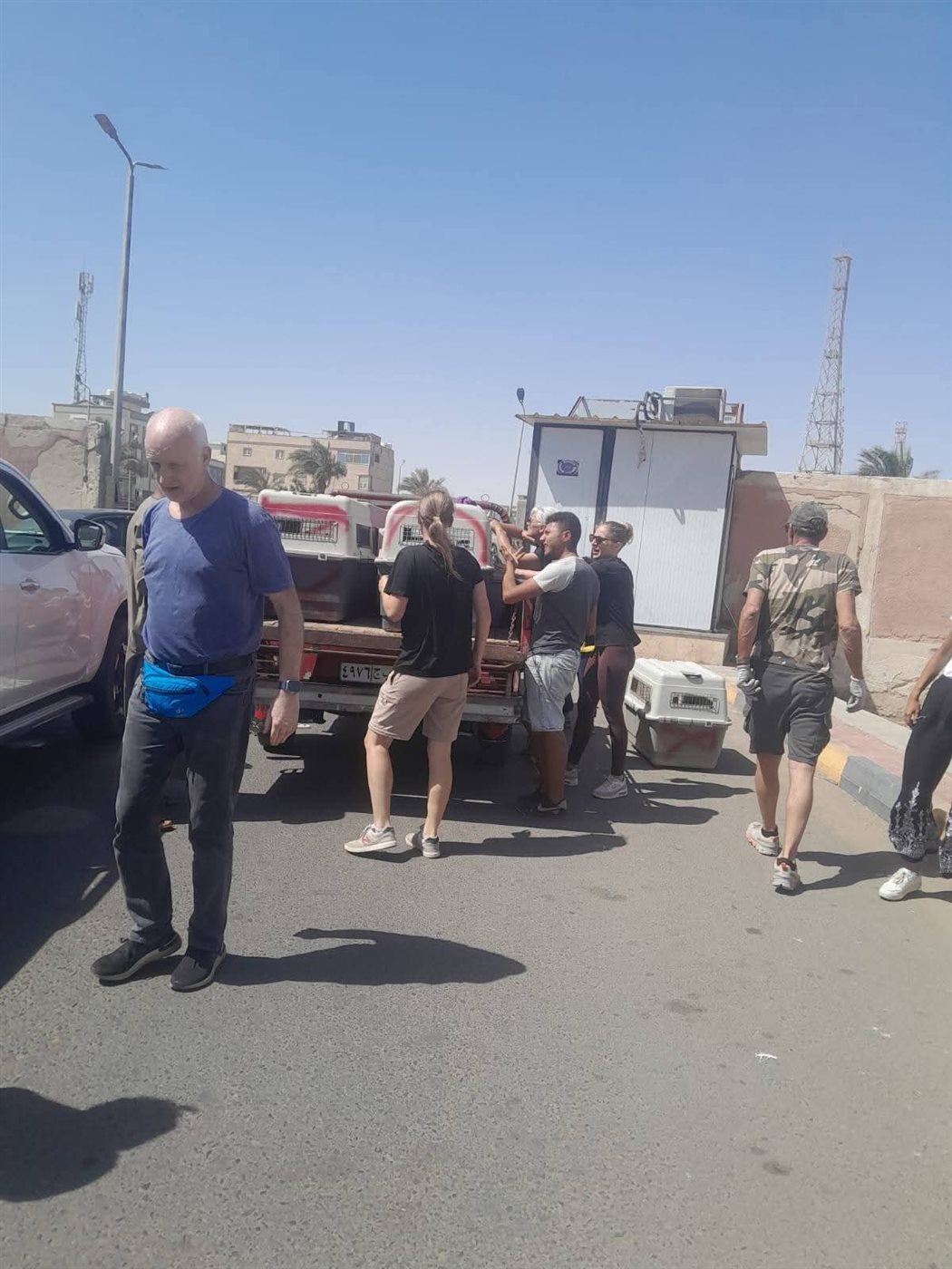حملة لإجراء عمليات تعقيم للكلاب الضالة بالغردقة 