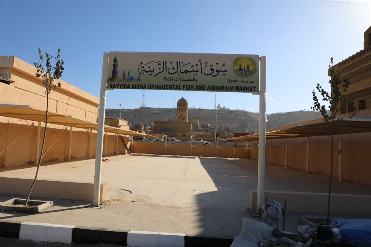 &nbsp;نقل سوق الحمام إلى موقع حضاري بالسيدة عائشة&nbsp;