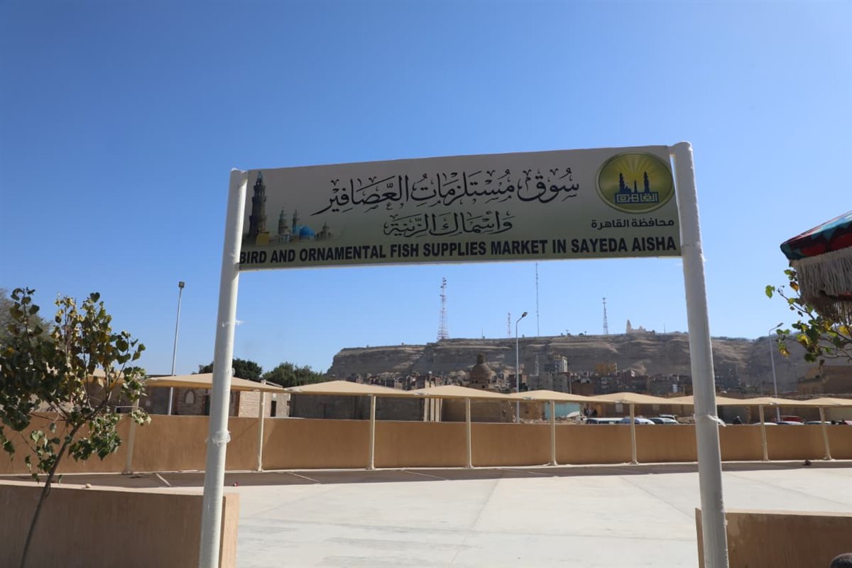 &nbsp;نقل سوق الحمام إلى موقع حضاري بالسيدة عائشة&nbsp;