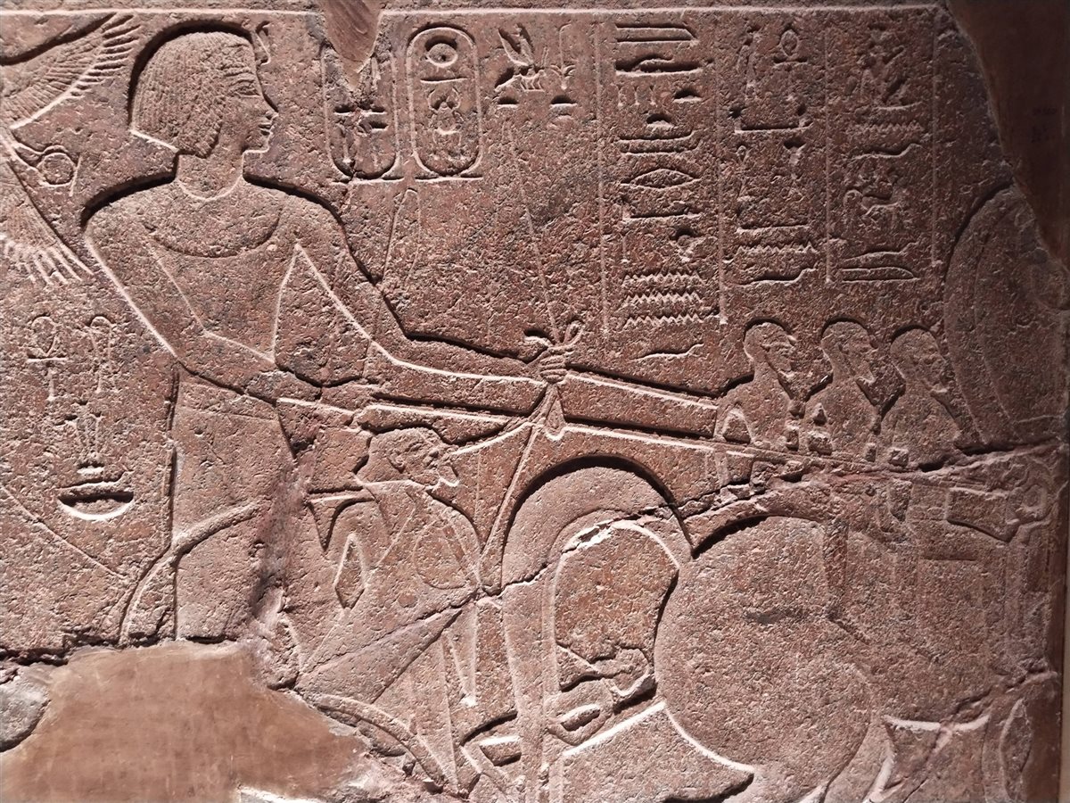 المتحف المصري يستعرض من أمنحتب الثاني إلى نصر سيناء