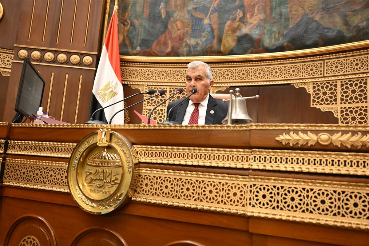 الجلسة العامة لمجلس الشيوخ