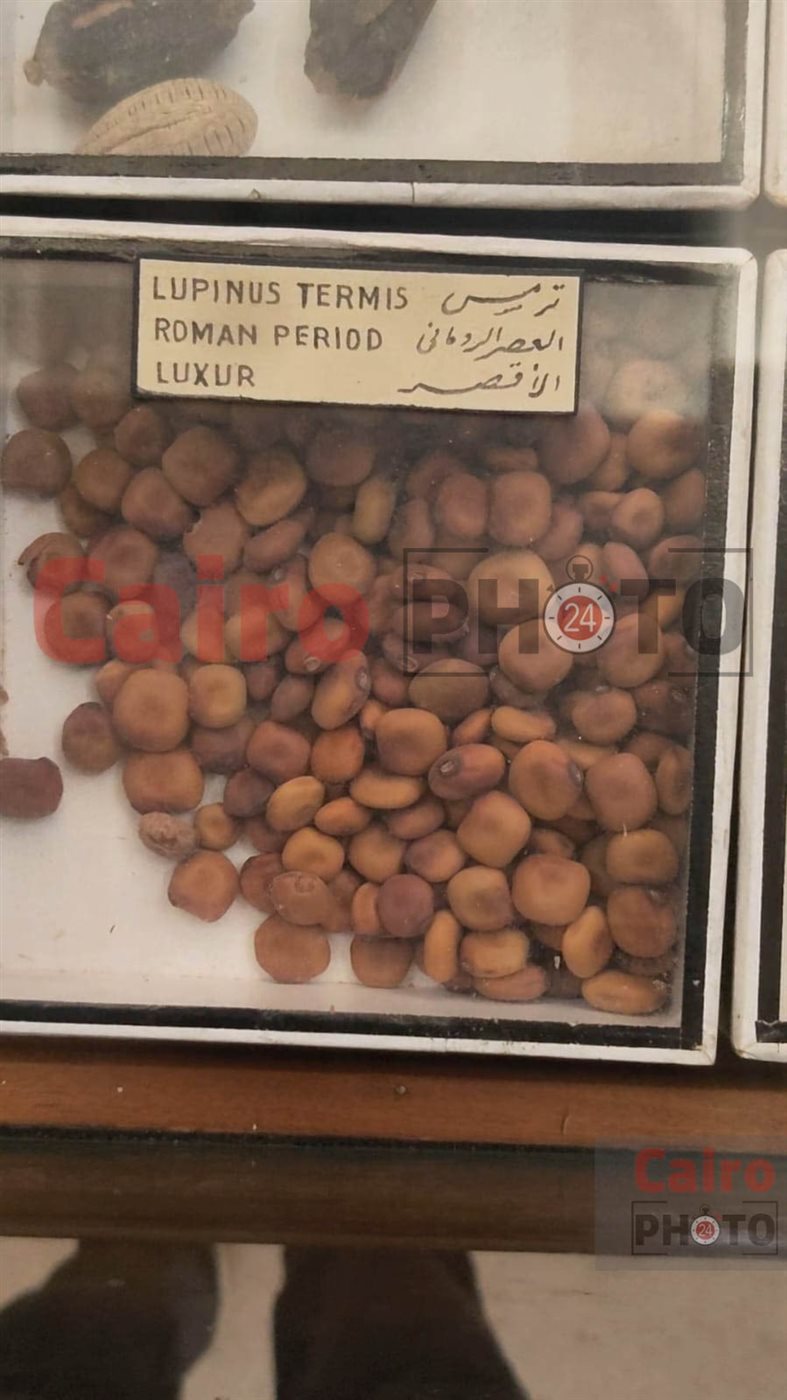 ترمس&nbsp;