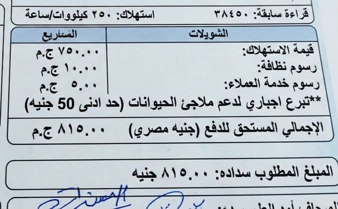 الصورة المتداولة