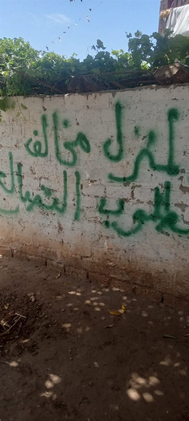 حملة محلية نجع حمادي