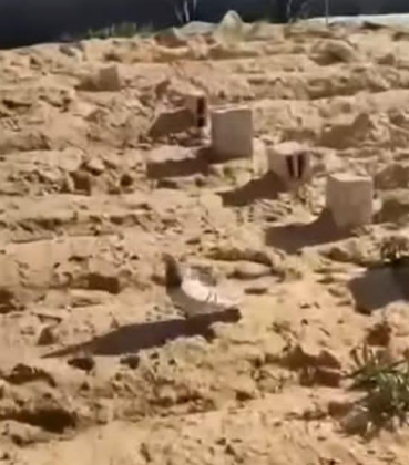 قصة أسرة فلسطينية