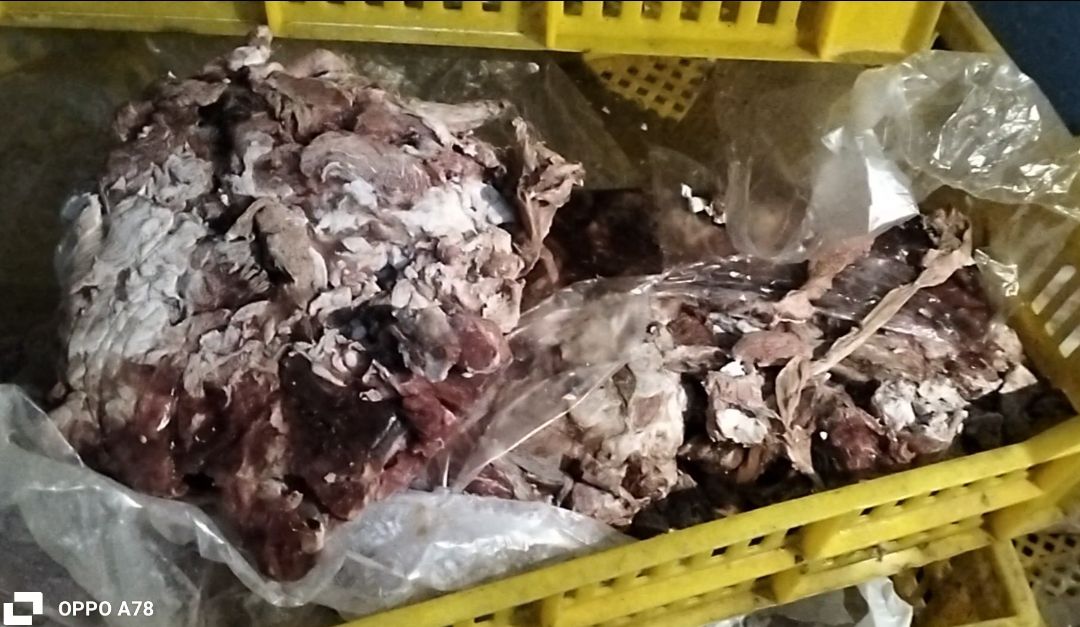 ضبط 3 أطنان لحوم ودواجن فاسدة&nbsp;