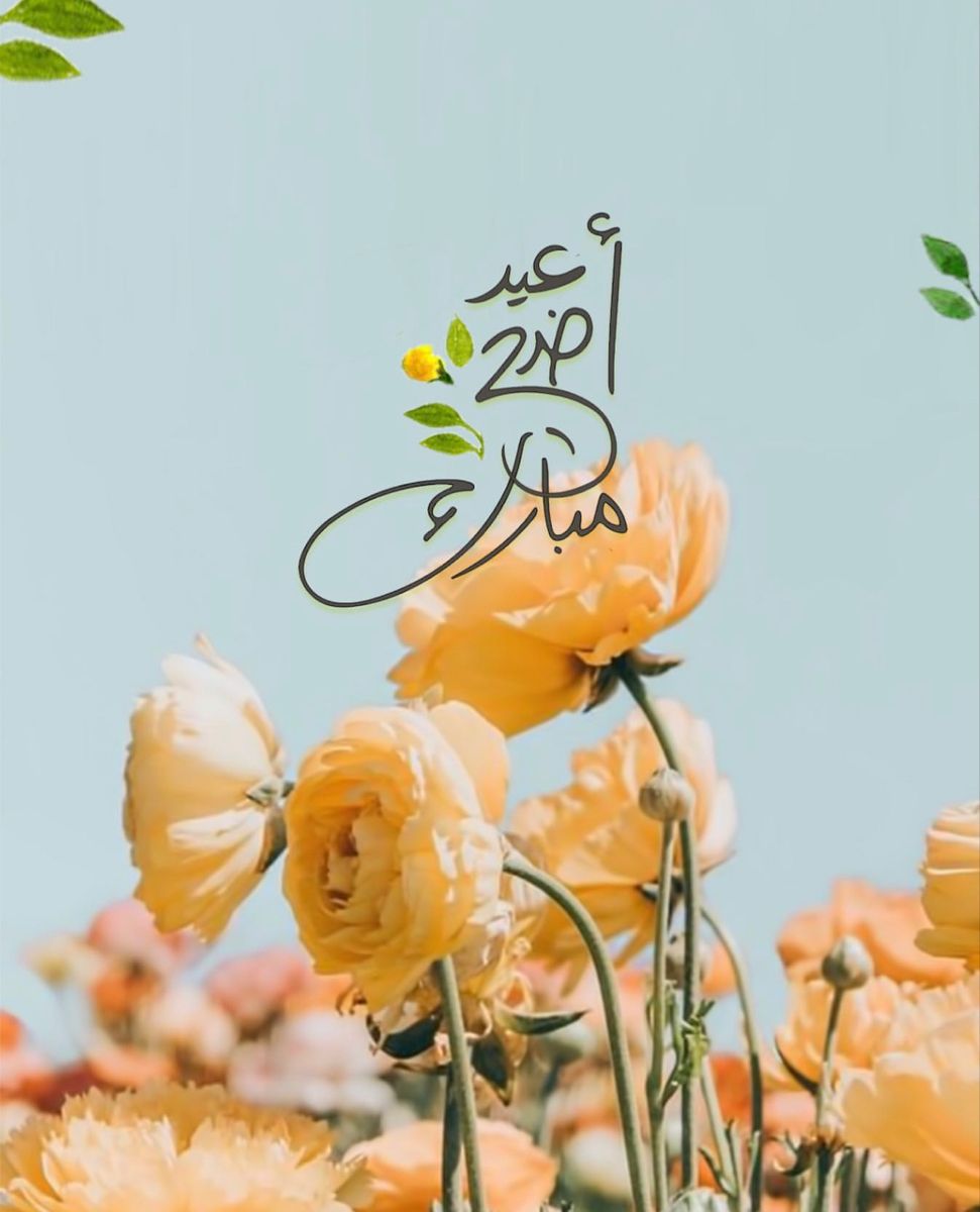 رسائل تهنئة عيد الأضحى 2026 مميزة.. 20 عبارة رائعة