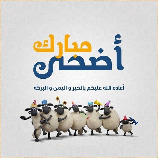 رسائل تهنئة عيد الأضحى 2026 مميزة.. 20 عبارة رائعة