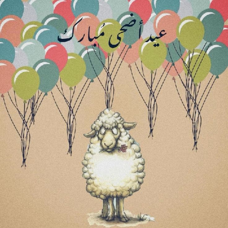 موعد أول أيام عيد الأضحى 2026 في مصر