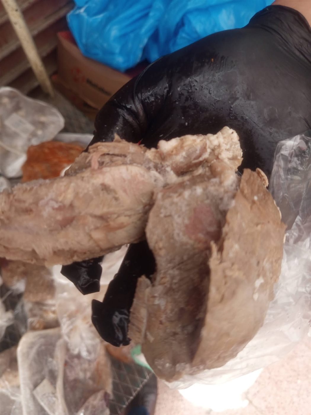 ضبط لحوم فاسدة بأحد مطاعم الأقصر&nbsp;