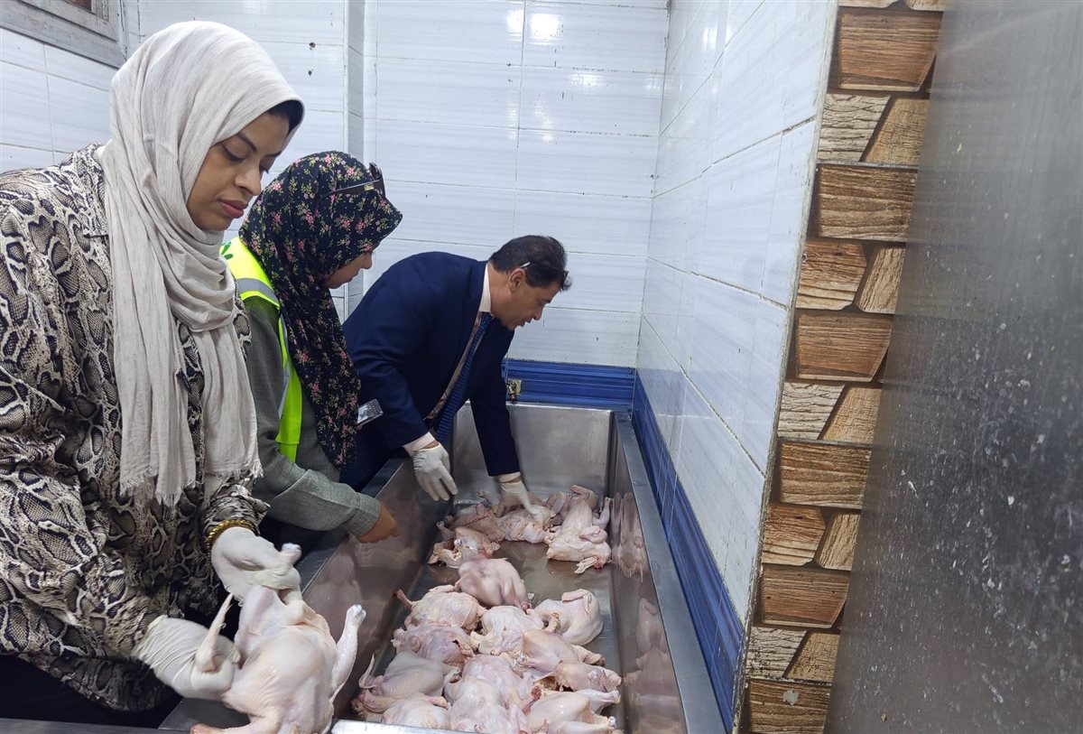 ضبط لحوم فاسدة بأحد مطاعم الأقصر&nbsp;