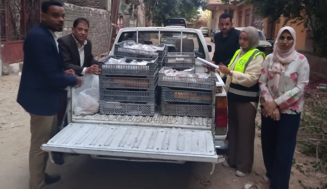 ضبط لحوم فاسدة بالأقصر&nbsp;