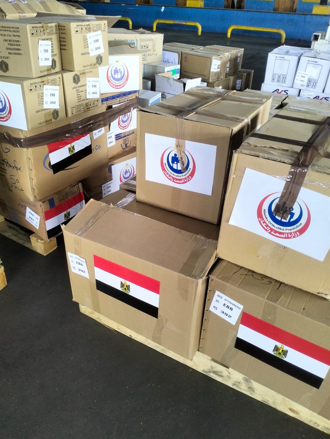 الوكالة المصرية للشراكة من أجل التنمية