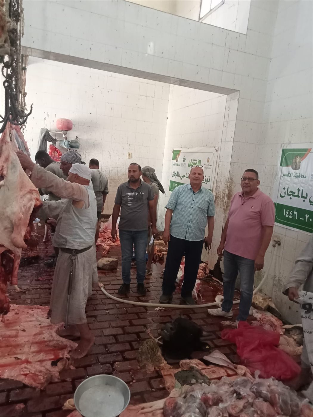 مجازر الأقصر تستقبل لحوم الأضاحي&nbsp;