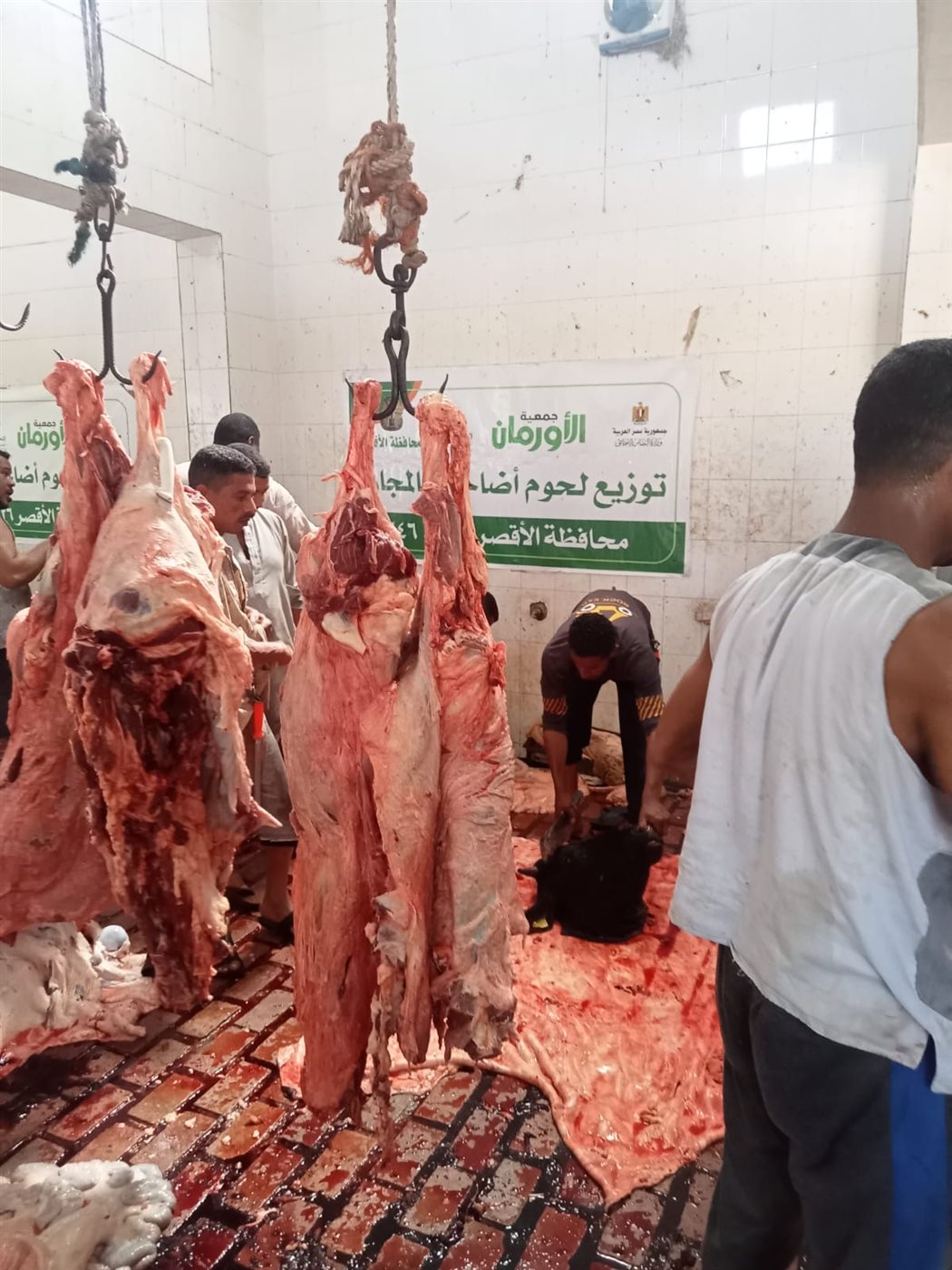 مجازر الأقصر تستقبل لحوم الأضاحي&nbsp;