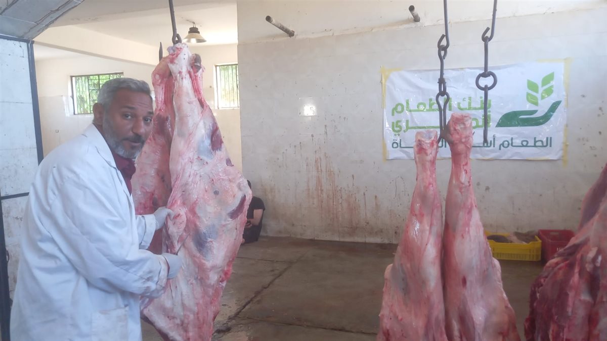 مجازر الأقصر تستقبل لحوم الأضاحي&nbsp;