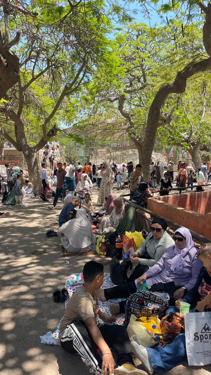 حدائق الحيوان والأسماك في عيد الأضحى