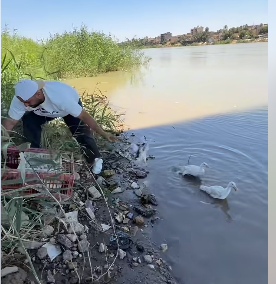 شاب عراقي يطلق البط في نهر دجلة يتصدر التريند