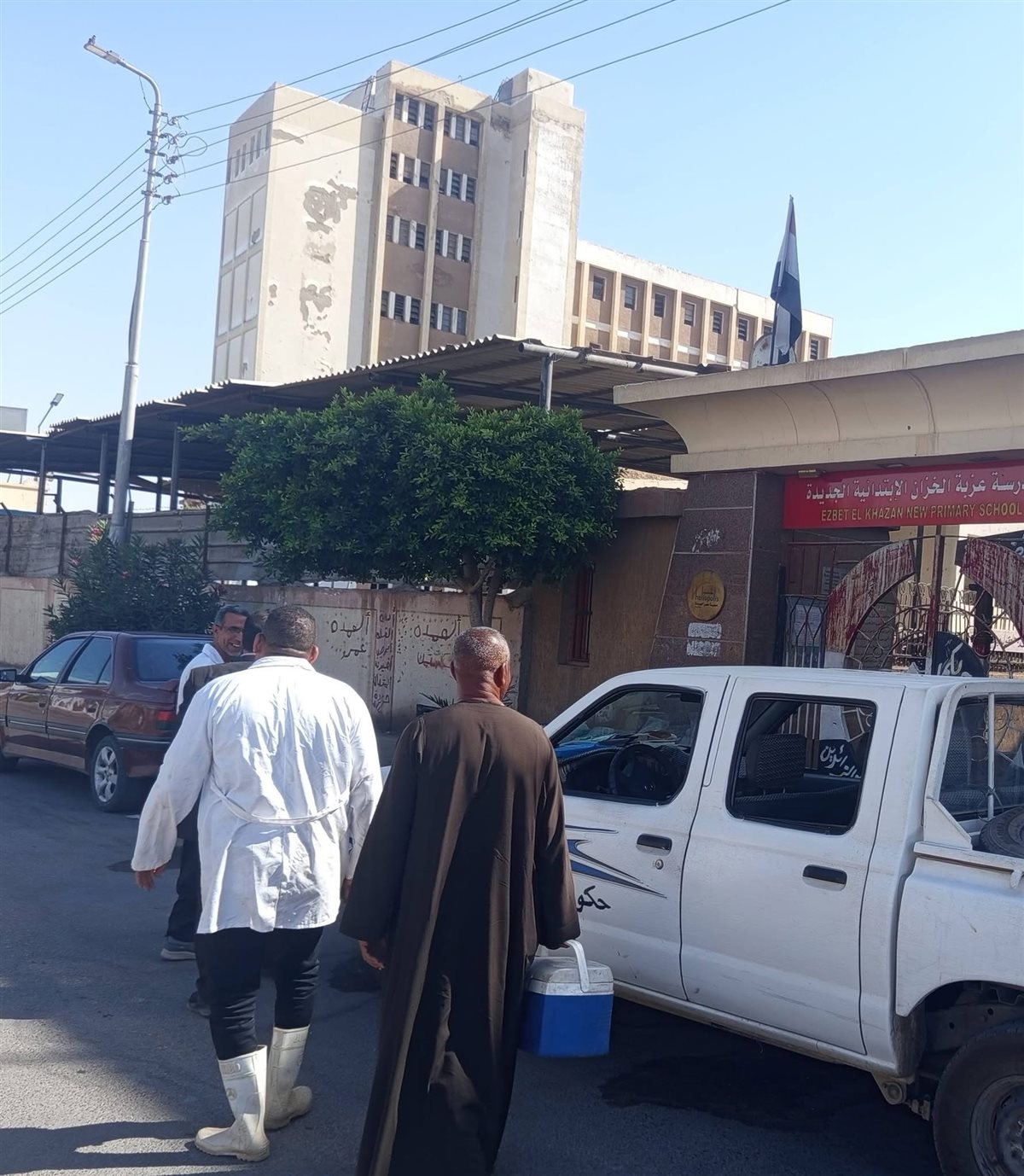 حملة للطب البيطري على الكلاب الضالة&nbsp;