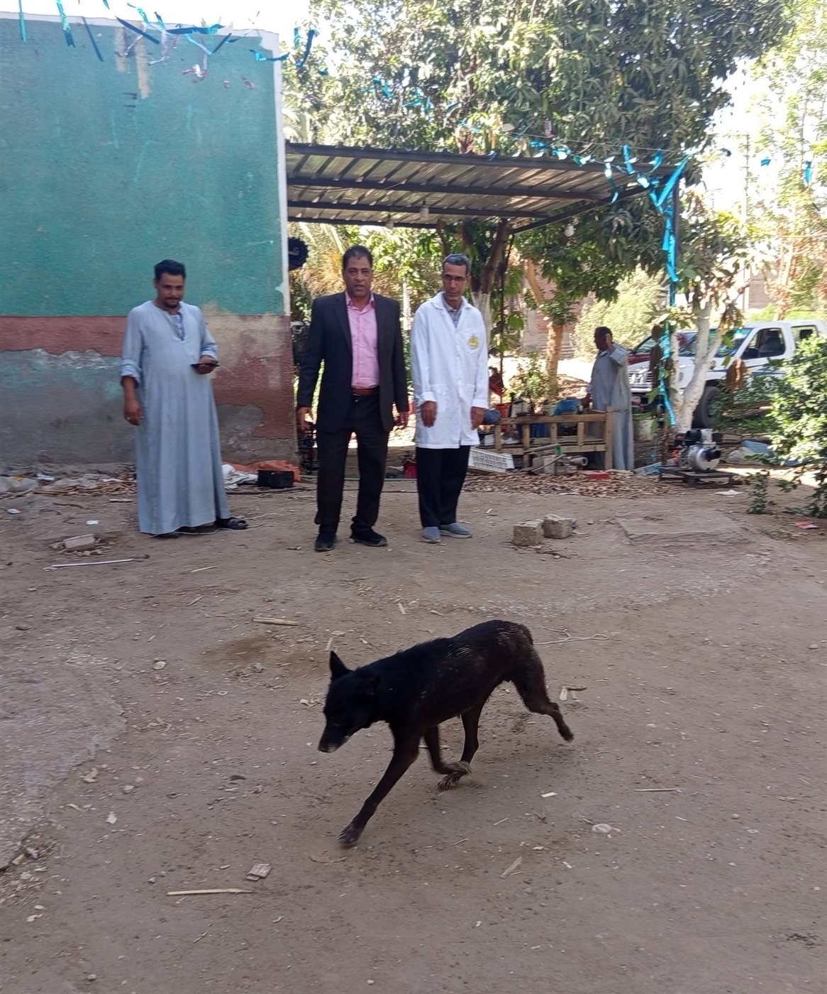 حملة للطب البيطري على الكلاب الضالة&nbsp;