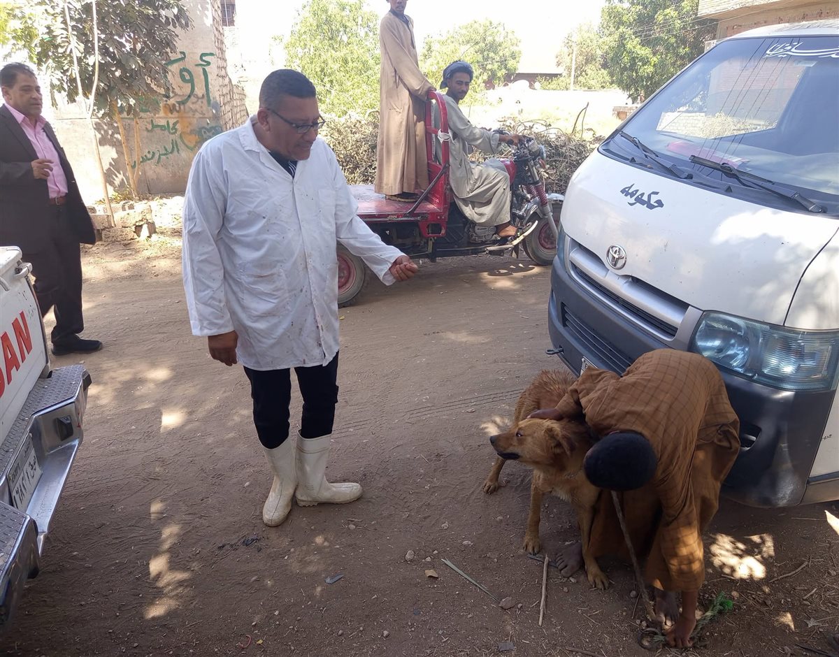 حملة للطب البيطري على الكلاب الضالة&nbsp;