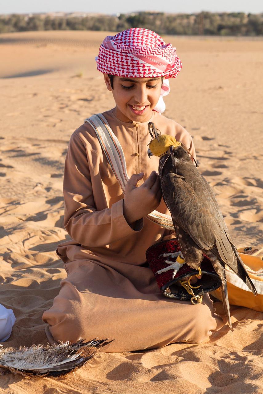 صقارة 2