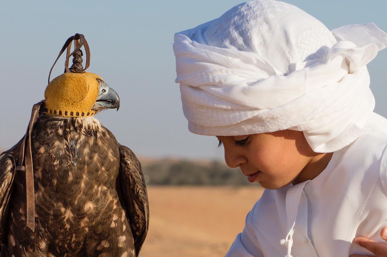 صقارة 3