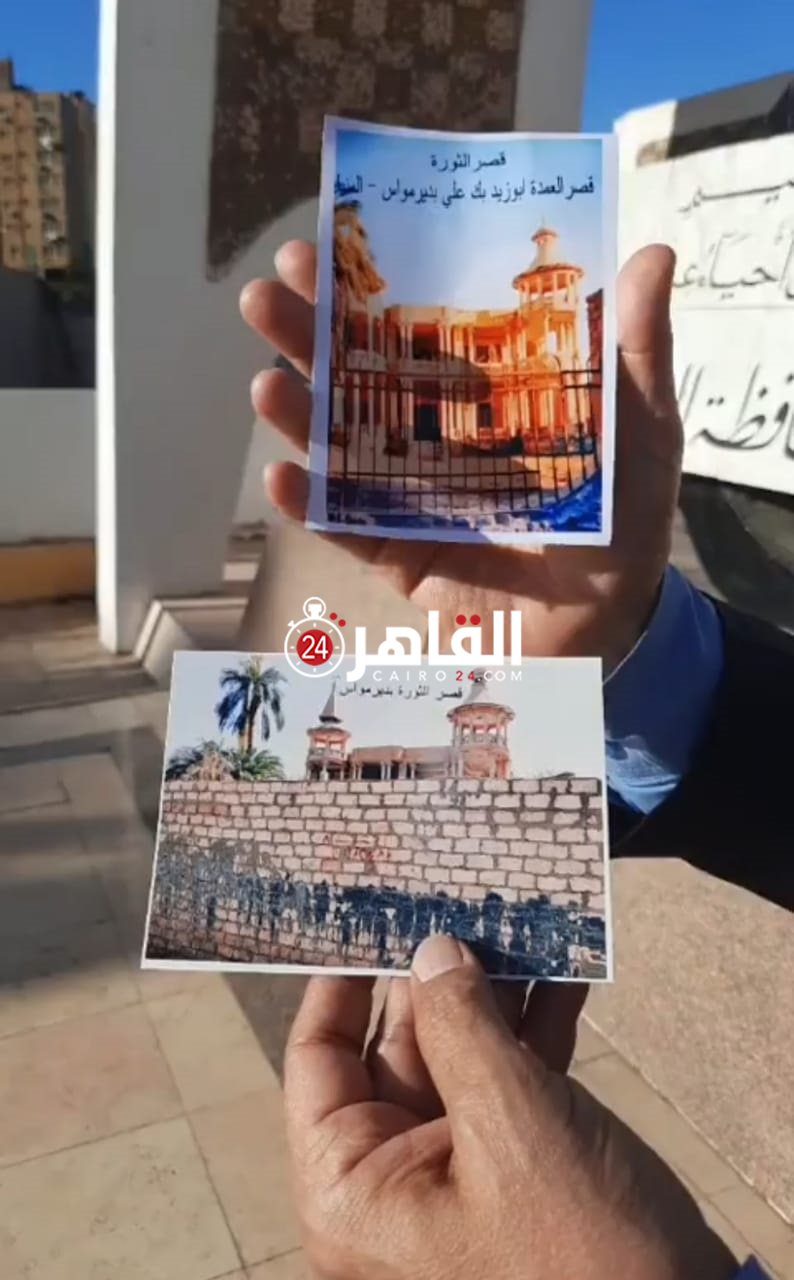 المنيا (7)