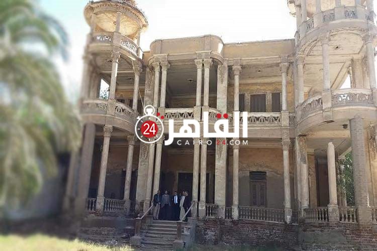 المنيا