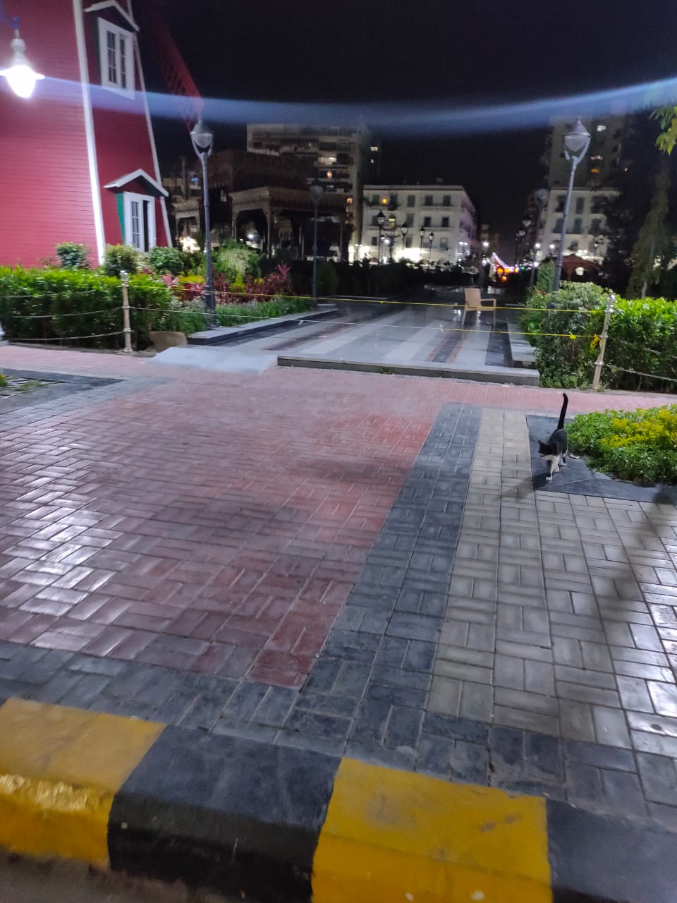 IMG-20210502-WA0105
