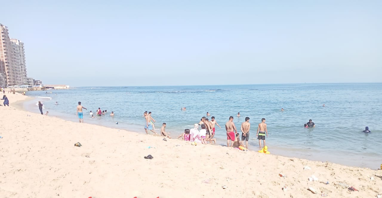 IMG-20210515-WA0023