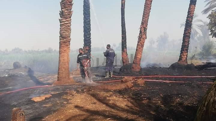 IMG-20210603-WA0023