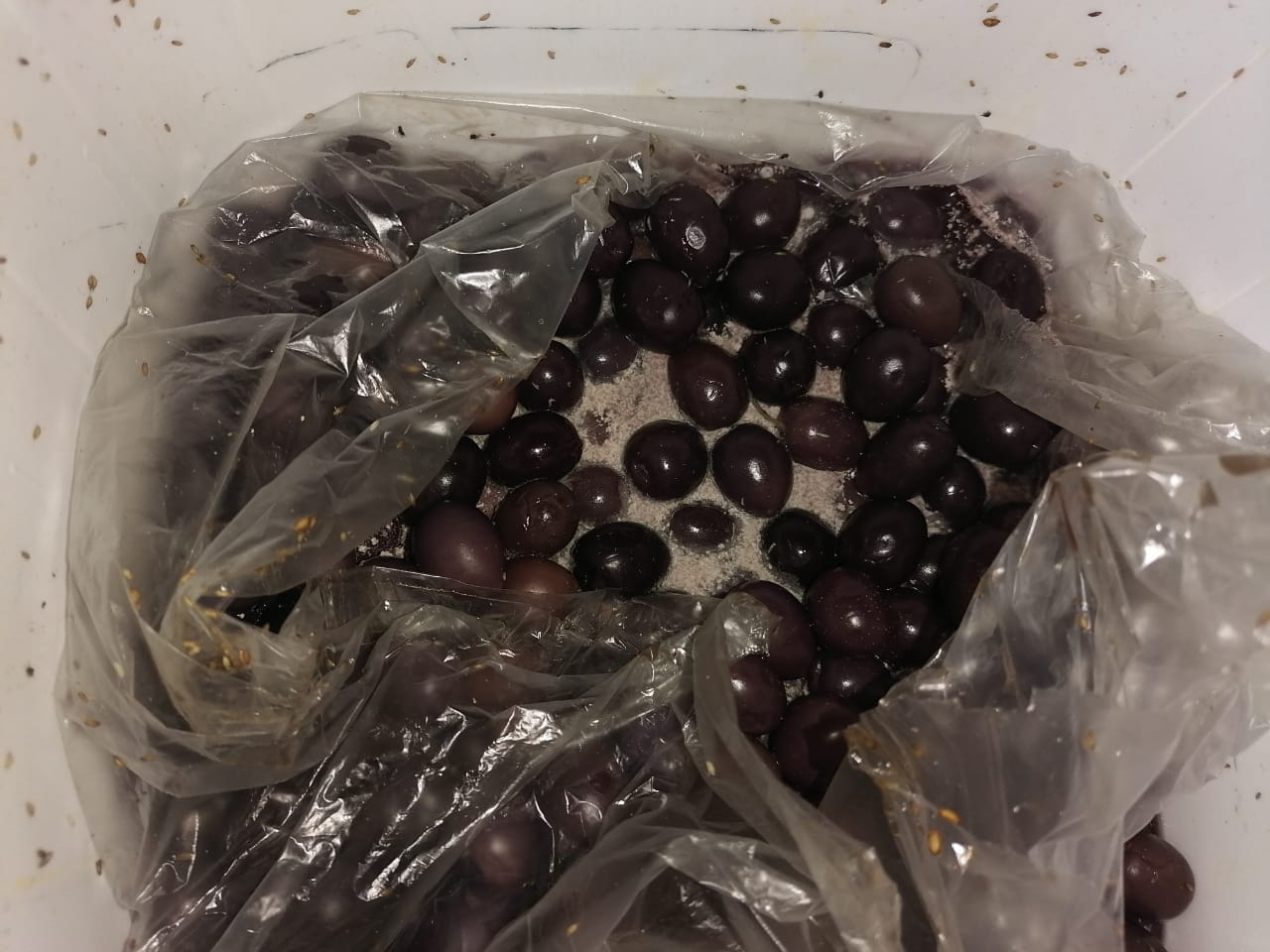 IMG-20210613-WA0036