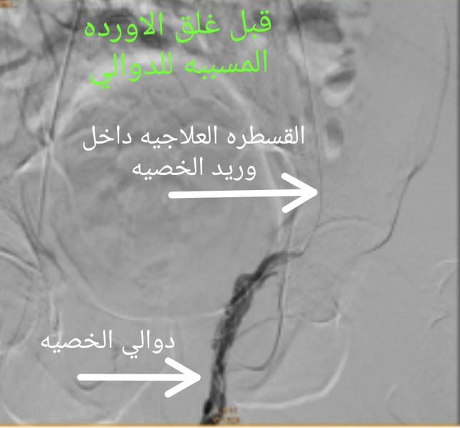 IMG-20210626-WA0035