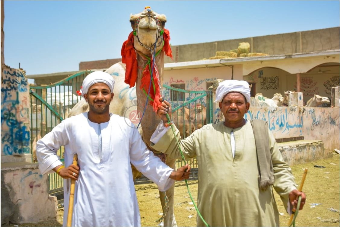 سوق برقاش 8