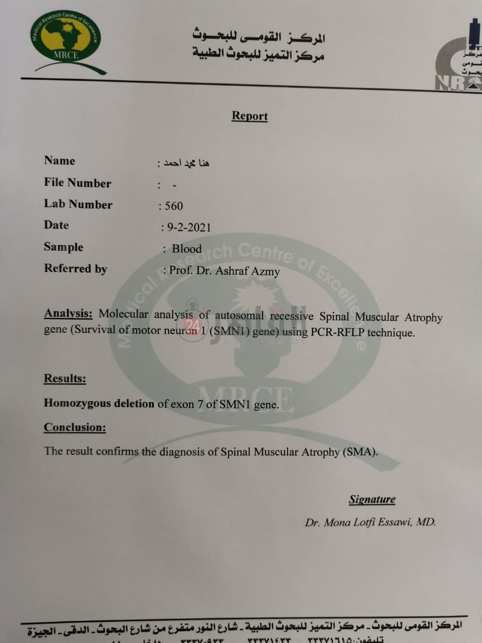 تقارير هنا 