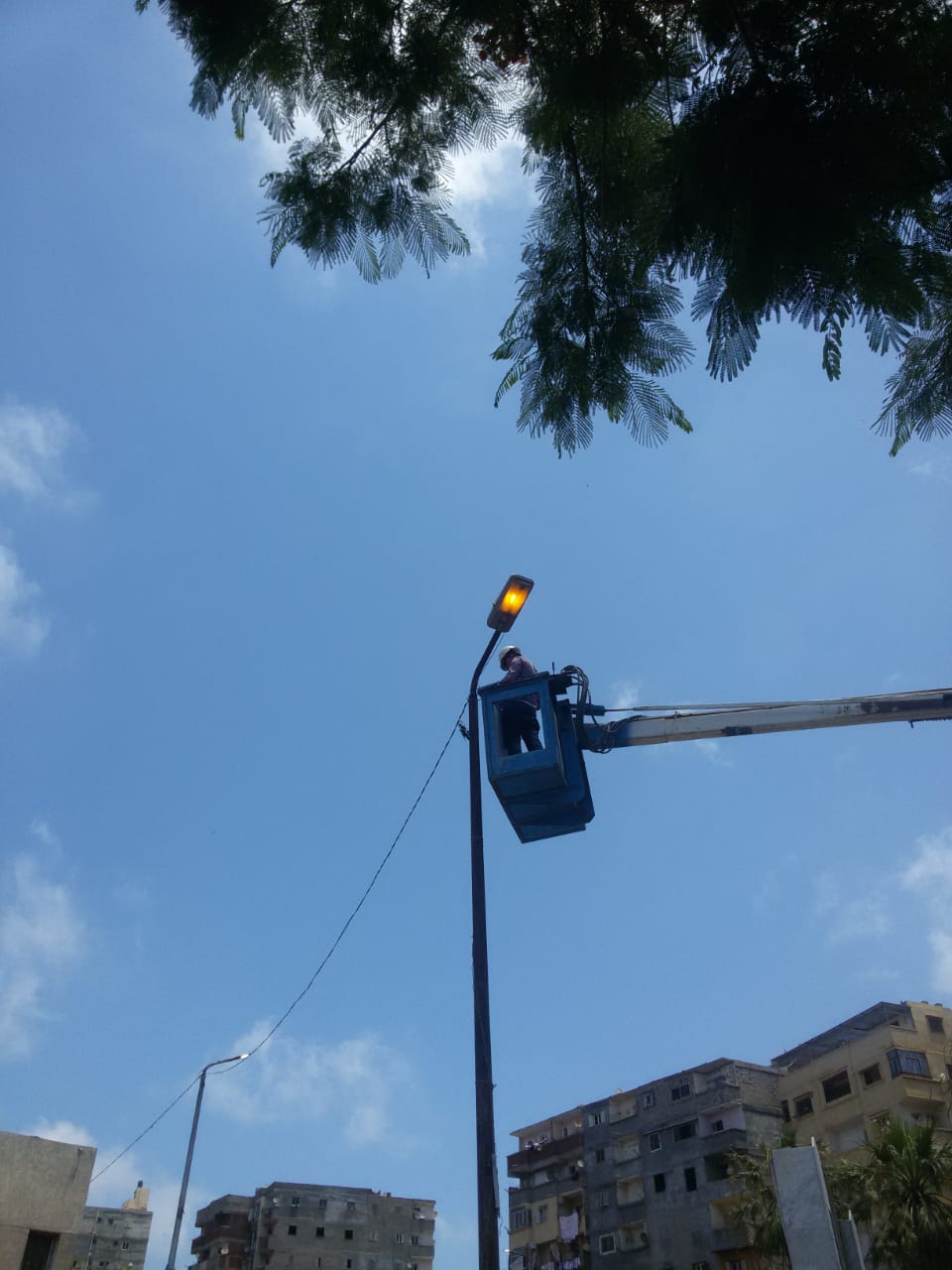 IMG-20210710-WA0025