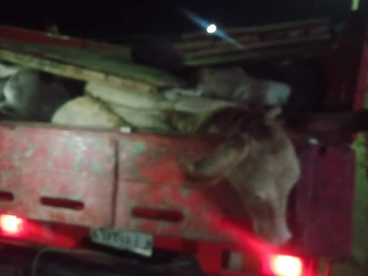 ضبط حمير مذبوحة وحيه في الفيوم قبل وصولها القاهرة