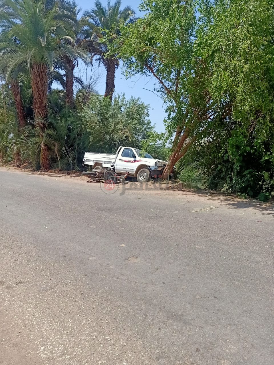 IMG-20210729-WA0052
